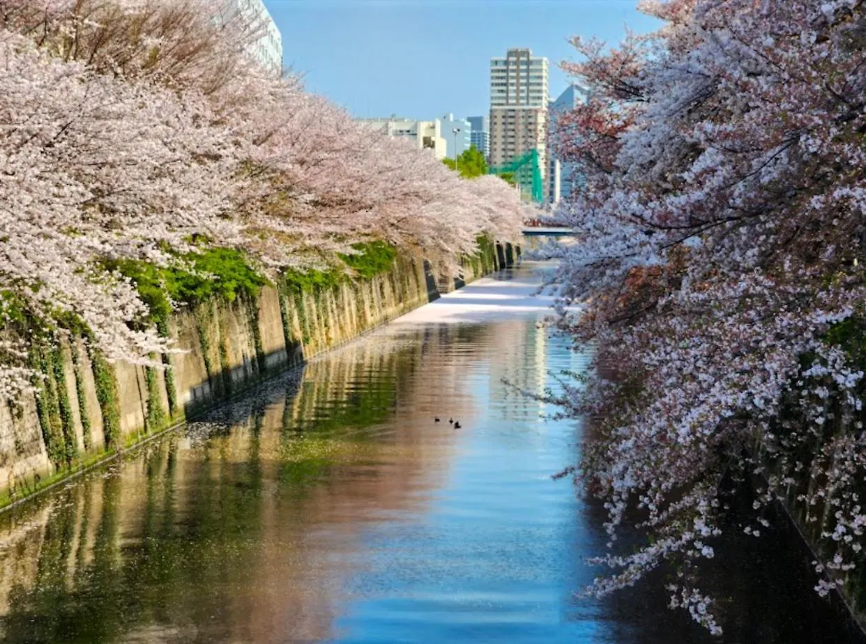 Apartment 品川区山手線大崎駅徒歩5分 快適で贅沢理想的なゲストルーム Tokyo